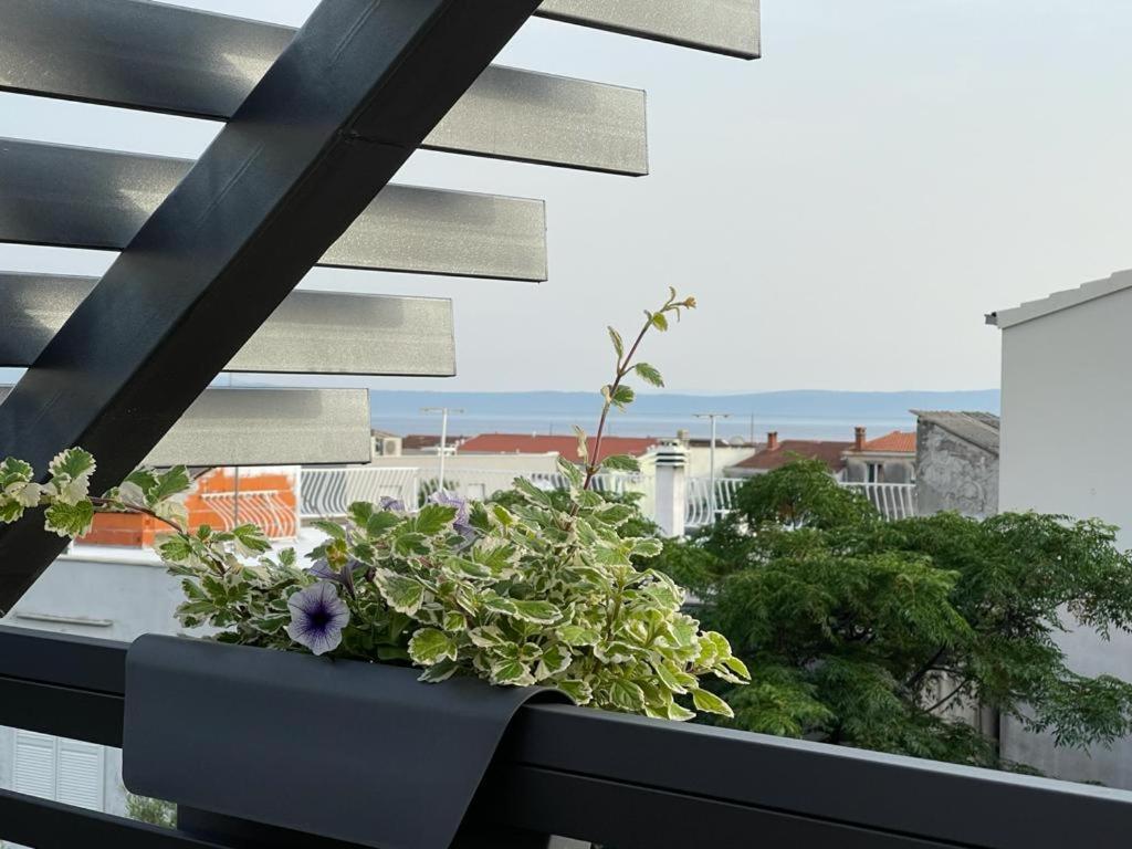 Villa Jadranka Apartments Tučepi Εξωτερικό φωτογραφία